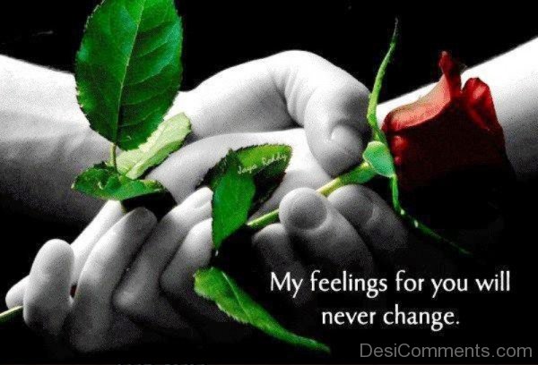 My Feelings For You Will Never Change-uy616DC0DC37