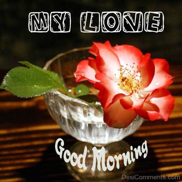 My Love Good Morning-YTE322DC15