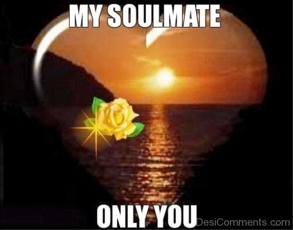 My Soulmate Only You