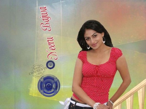 Neeru Bajwa Lovely Looks