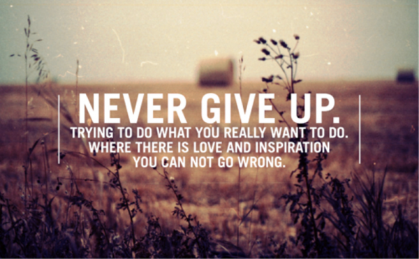 Never Give Up - Trying To Do-imghnas.com2550