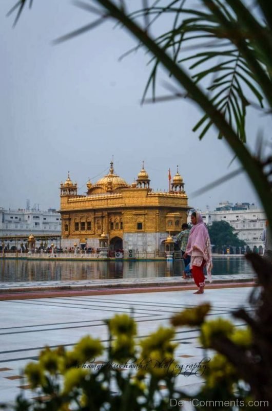 Nice Pic Of Golden Temple