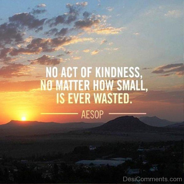 No act of kindness no matter how small is ever wasted-dc018083