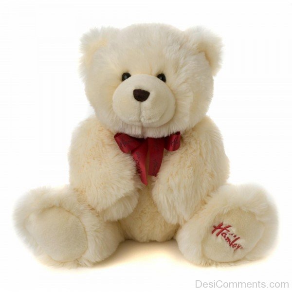 Off White Teddy  Bear