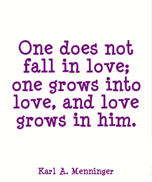 One Does Not Fall In Love-kj82509DC0DC37