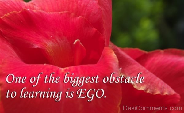 One Of The Biggest Obstacle To Learning Is Ego -DC35