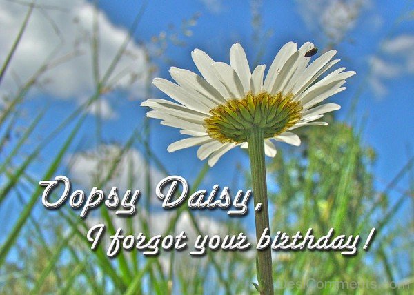 Ooops Daisy I Forgot Your Birthday