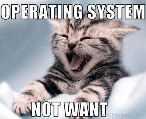 Operating System