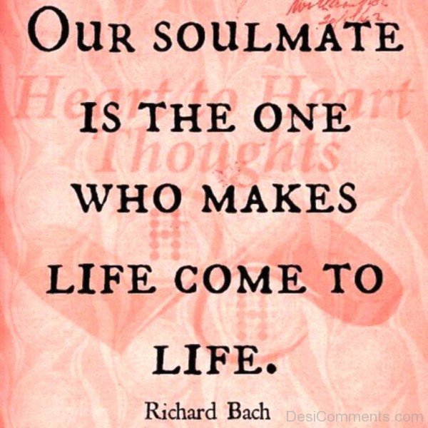 Our Soulmate Is The One-abu813desi16
