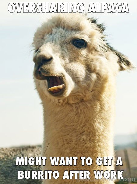 Oversharing Alpaca