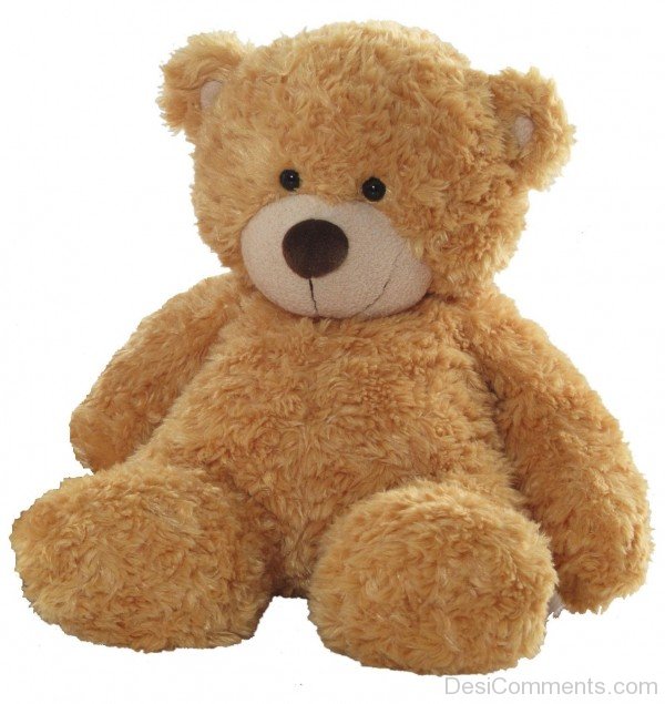 Photo Of Teddy Bear
