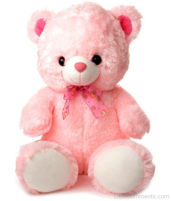 Pink Teddy Bear