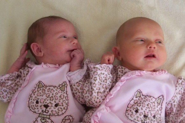 Pink Twin Babies