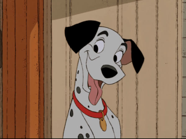 Pongo Laughing