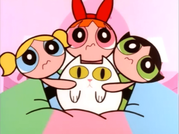 Powerpuff Girls With Cat Man