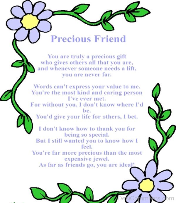 Precious Friend-DC085