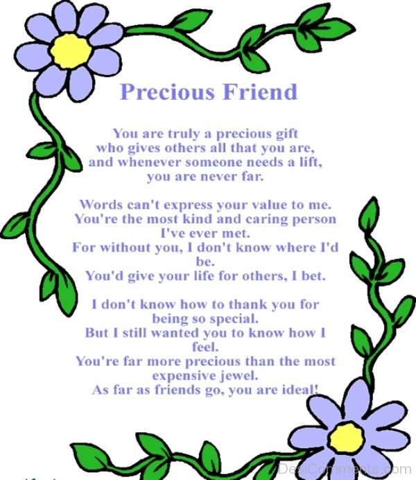 Precious Friend-dc099123