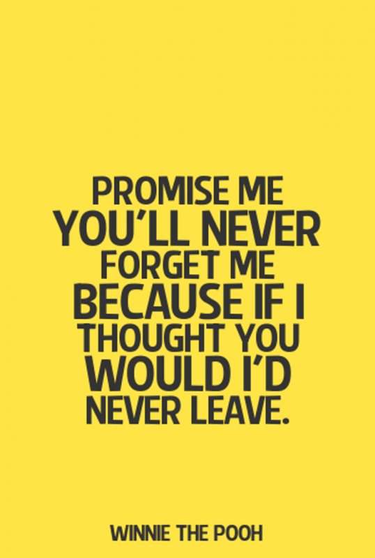 Promise Me You All Never Forget Me