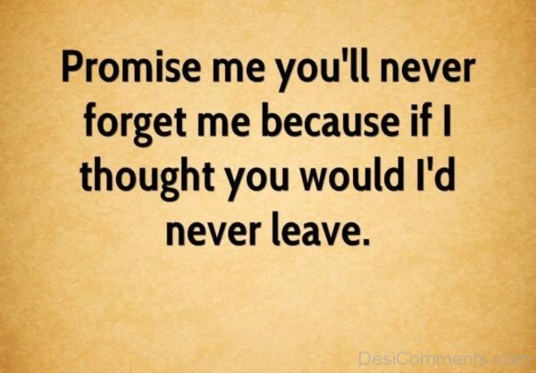 Promise Me You Will Never Forget Quotes