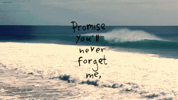 Promise You’ll Never Forget Me