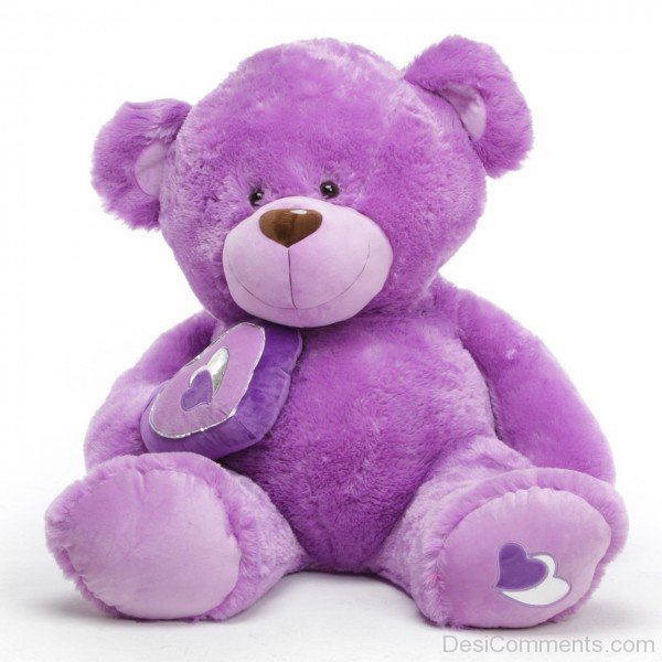 Purple Teddy Bear