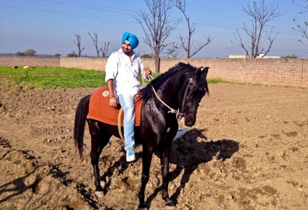 Ravinder Grewal With Horse