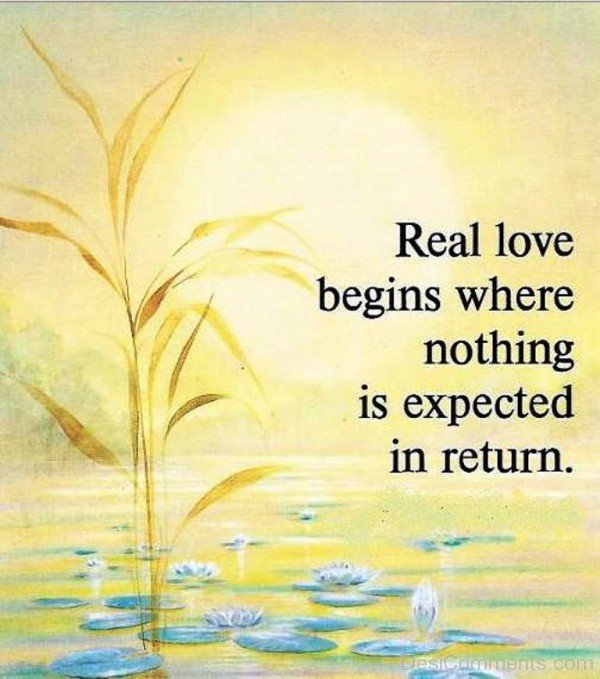 Real Love Begins Where Nothing Is Expected In Return-dc410