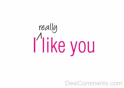 Really I Like You