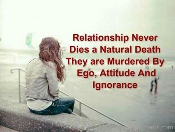 RelationShip Never Dies A Natural Death They Are Murdered By Ego Attitude And Ignorance