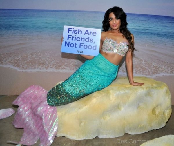 Richa Chadda - Fish Are Friends-DC022