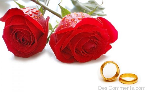 Roses And Rings- DC0142
