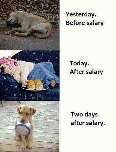 Salary