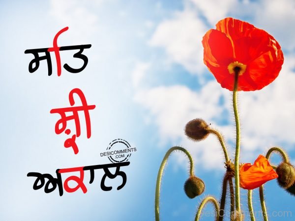 Sat Sri akal with red flower