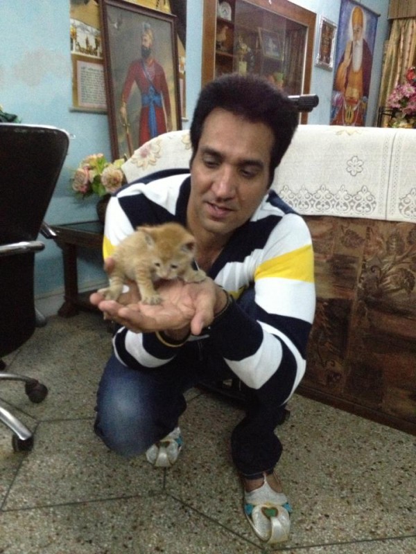 Satwinder Bugga With Kitten
