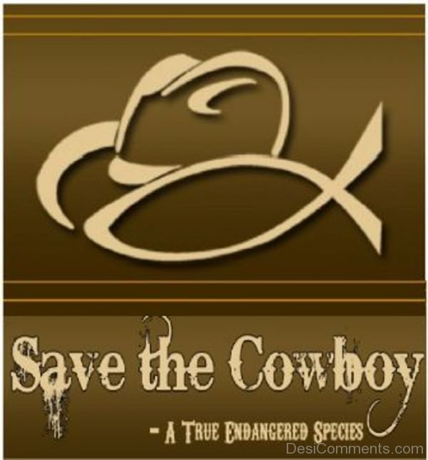 Save  the cowboy-DC38