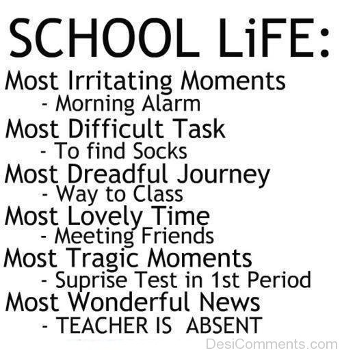 School Life