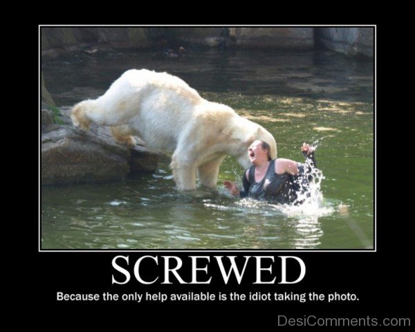 Screwed-fvt433DCrDC40