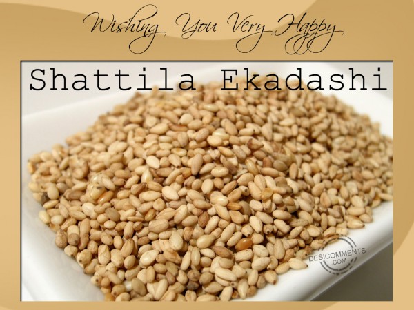 Shattila Ekadashi