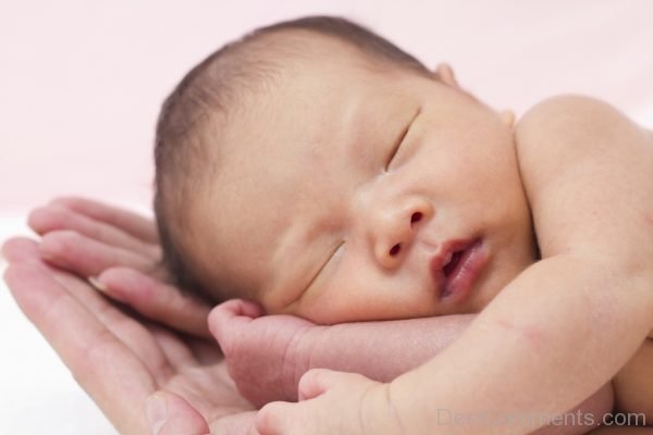 Baby Sleeping In Hands