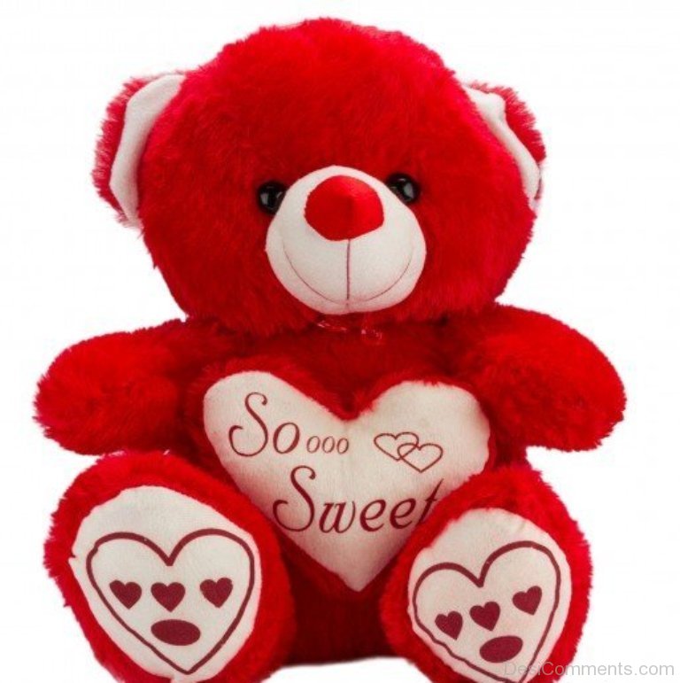 so sweet teddy bear