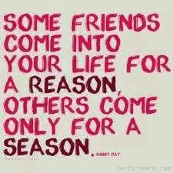 Some Friends Come Into Your Life For A Reason-dc099127