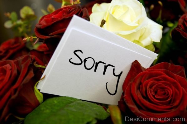 Sorry Flower Image.