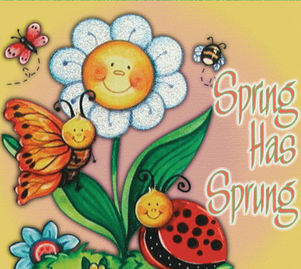 Spring Has Sprung !