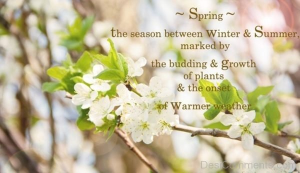 Spring – Quote