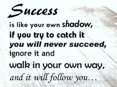 Success Is Like Your Own Shadow