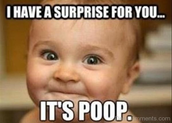 Surprise Its Poop-208