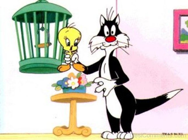 Sylvester Holding Tweety 