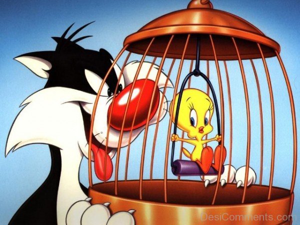 Sylvester Looking At Tweety From Back-DESI062