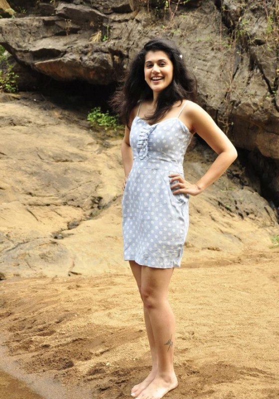 Taapsee Pannu In Beautiful Dress  