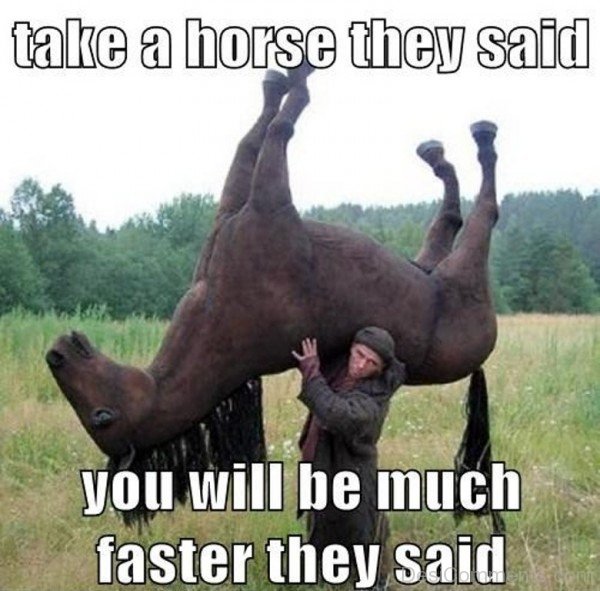 Take A Horse